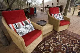 "אחד המאפיינים הבולטים של הבמבוק - הוא קל מאוד לגידול"